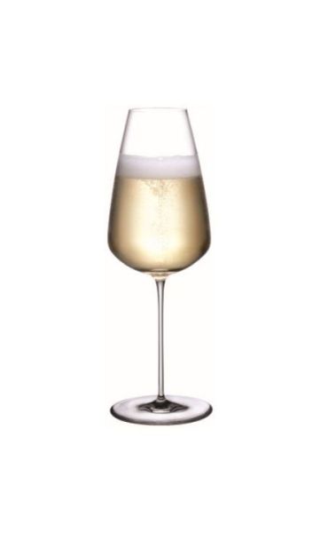 Paşabahçe Nude Stem Zero Şampanya Bardağı