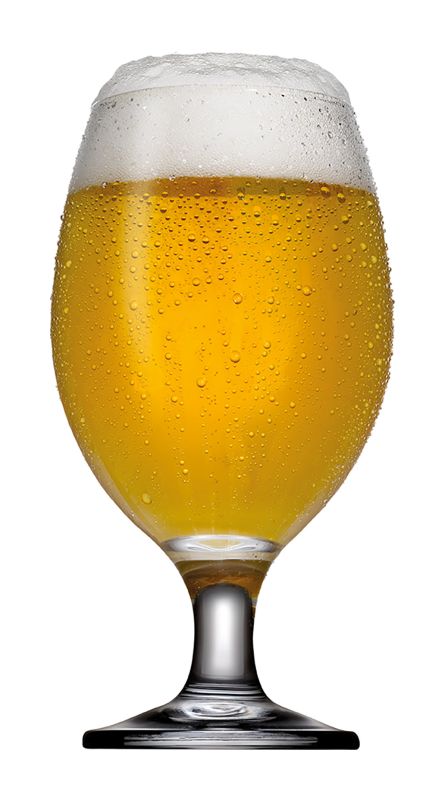 Paşabahçe Cam Bistro Bira Bardağı